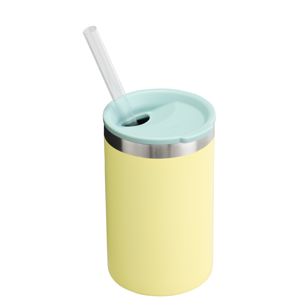 The Everyday Can Cooler Cup